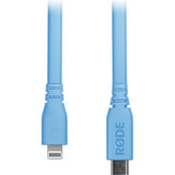 RODE SC19 Lightning to USB-C Cable (Blue, 5')