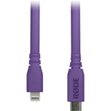 RODE SC19 Lightning to USB-C Cable (Purple, 5')