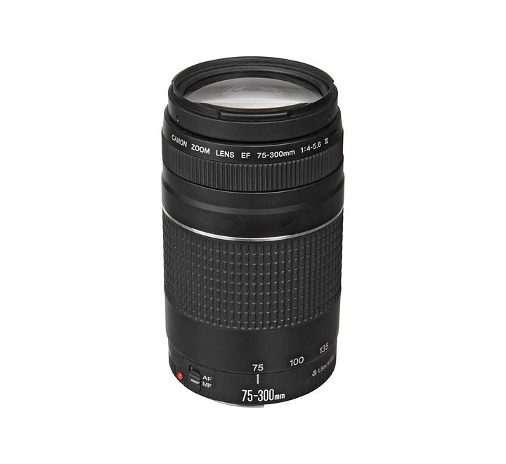 Canon EF 75-300mm f/4-5.6 III Lens