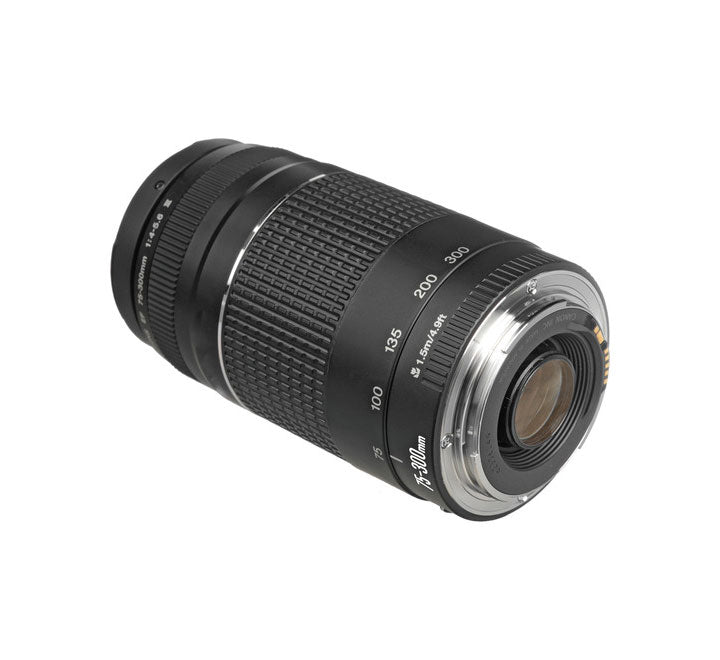 Canon EF 75-300mm f/4-5.6 III Lens